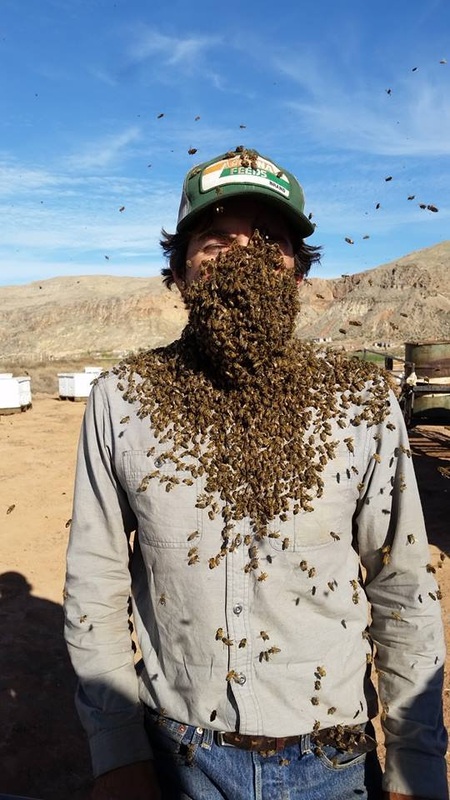 beekeeper rob